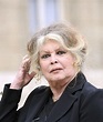 Brigitte Bardot pide a Felipe VI la abolición de la caza con galgos | Hoy