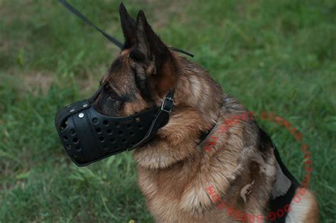 Agitation Leather Training Dog Muzzle For German Shepherd K9 M55