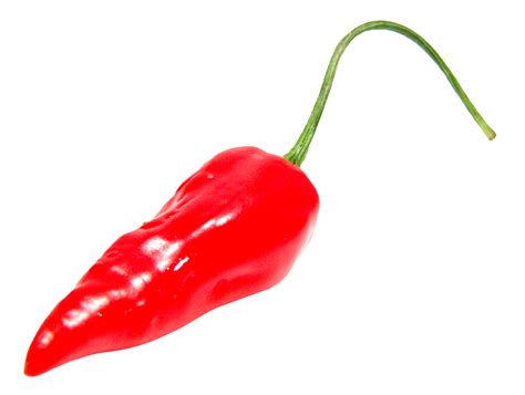 Red Chilli Pepper Png All Png All