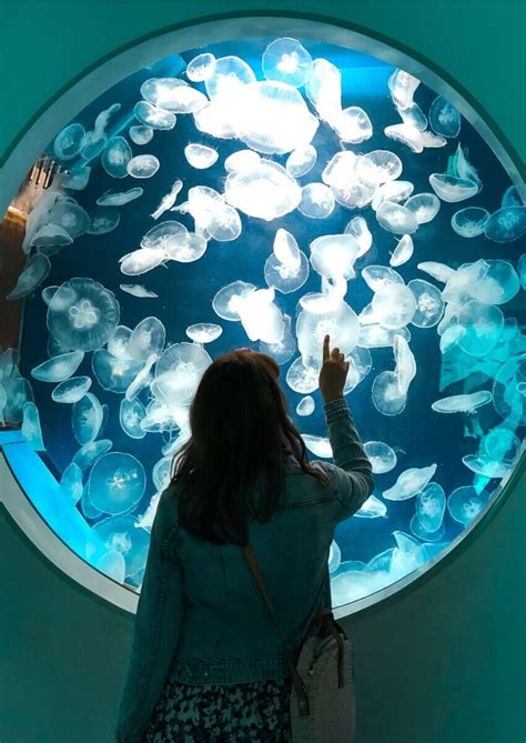 A Detailed Guide To Xpark Aquarium Taiwan Hoponworld