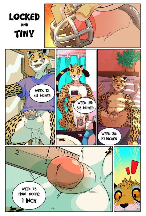 Rule 34 Anthro Balls Chastity Chastity Cage Cheetah Comic Daire301 Feline Male Mammal Penis