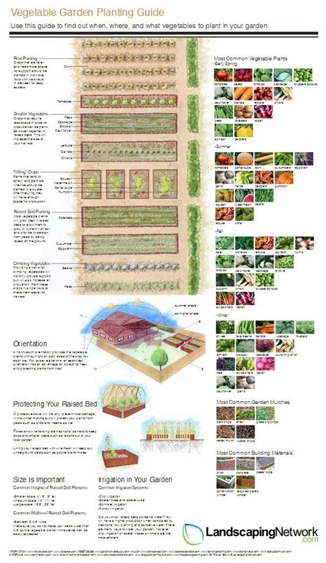 Some vegetables can be very difficult to start from seeds and you are better off paying a little extra to buy a young plant. This handy vegetable garden planning guide from ...