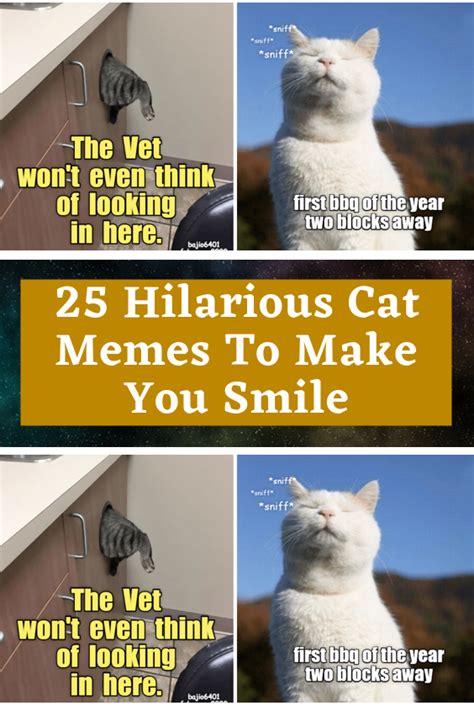 Funny Cat Memes Funny Cats Hilarious Cute Cats And Dogs Cat Owners