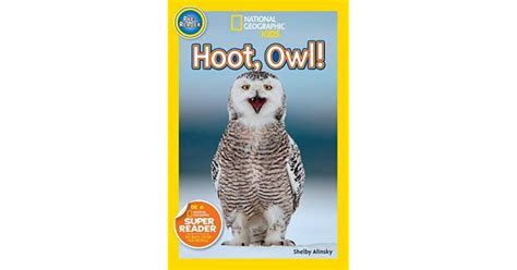 Hoot Owl By Shelby Alinsky