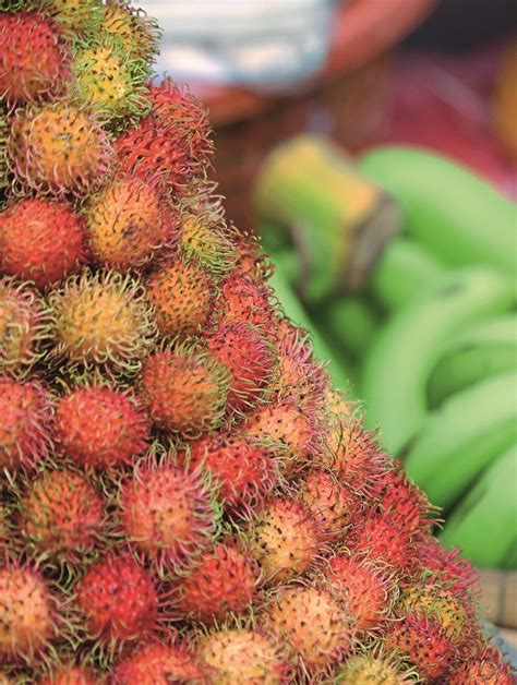 Apparently there are fruits that have an odd shape. From the spiky to the scaly: 5 tropical fruits in Malaysia ...