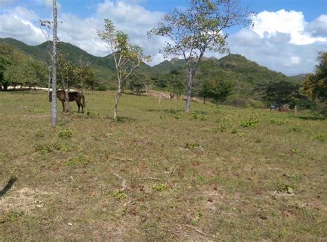1 ha equals 2.47 ac. Affordable and Titled 1 Hectare (2.47 Acres) Parcels on or ...