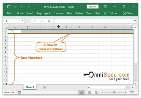 Microsoft Excel Rows Columns In Tutorial 30 January 2022 Learn Row