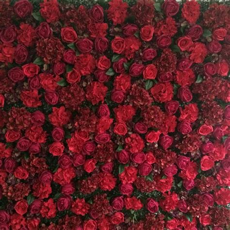 24m X 24m Hot Red Luxury Flower Backdrop Wedding Flower Wall