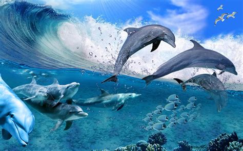 50 Free Live Dolphin Wallpaper Wallpapersafari