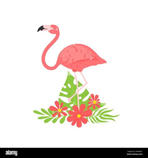 Vector Illustration Of A Pink Flamingo Flamingo African Tropical