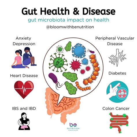 Gut Health And Chronic Disease Why You Should Care About Your Gut — Be Nutrition