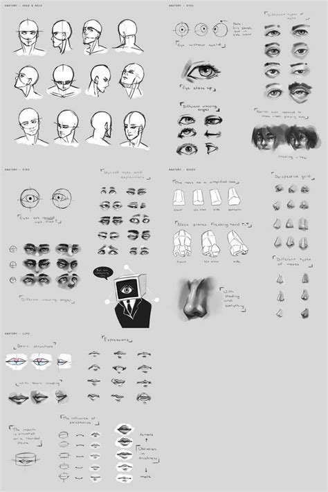 Sketchdump June 2015 Face Anatomy By Damaimikaz On Deviantart