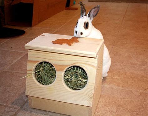 Bunny Rabbit Hay Feeder By Bunnyrabbittoys On Etsy Ava Note Great