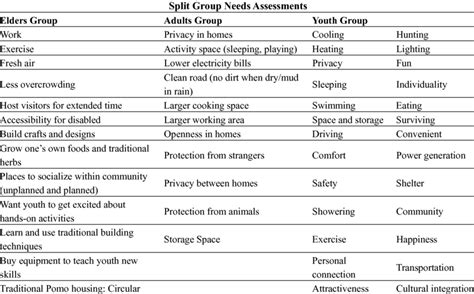 Needs Expressed During Split Group User Needs Assessment Sessions