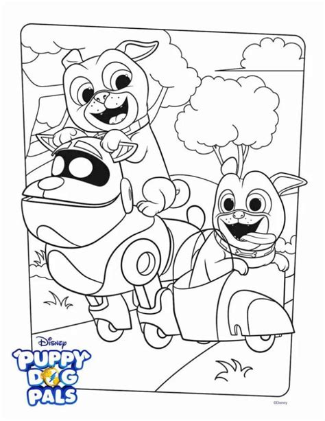 It is essential to know this because when a dog transforms from puppy to adult, it will be necessary to make a change in its diet. 20+ Free Printable Puppy Dog Pals Coloring Pages ...