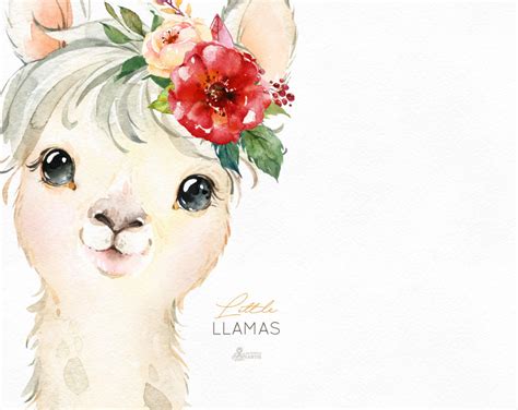 Little Llamas Watercolor Animals Clipart Alpaca Portrait Flowers