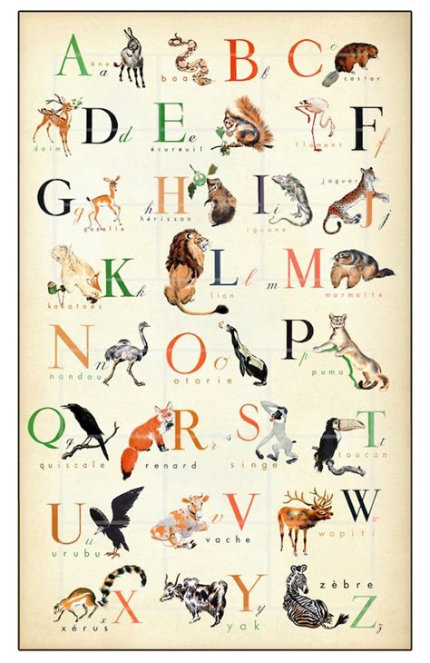 French Alphabet Wonderful Animal Alphabet Print 16x20