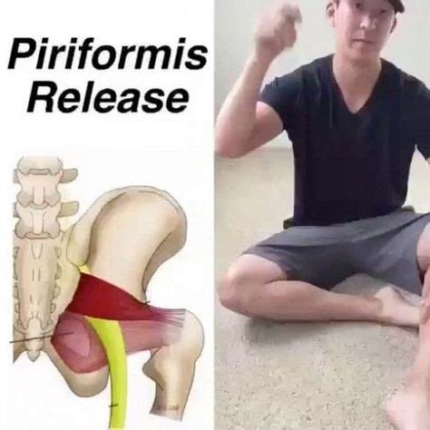 HipProblems HipProblems HipProblems In Piriformis Piriformis Syndrome Hip Problems