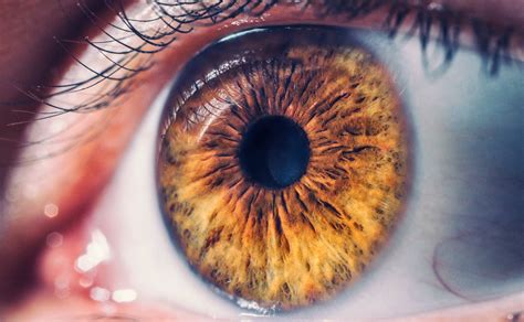 What are the symptoms of a detached retina?