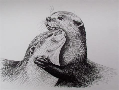 2 Otters Limited Edition Print Black And White Drawing Signed And
