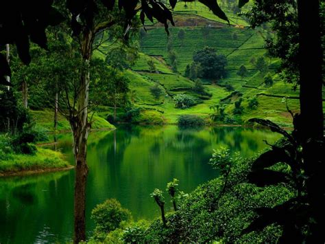 Sri Lanka Lowland Rain Forests Sri Lanka Bei Posti Paesaggi Viaggi