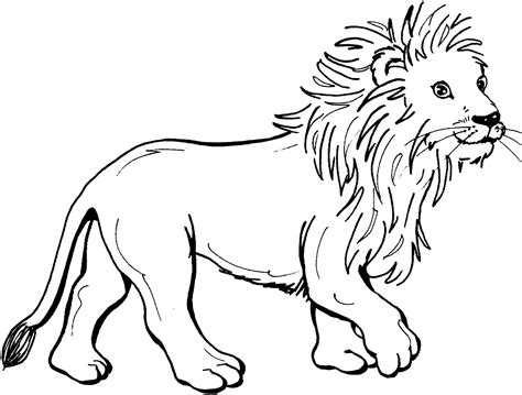 Lion Coloring Pages - Kidsuki