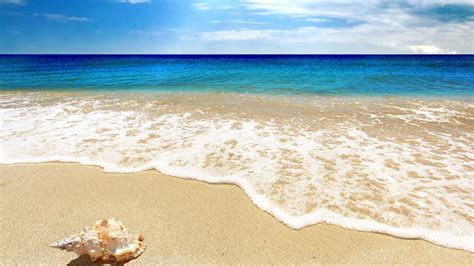 63 Cool Beach Backgrounds