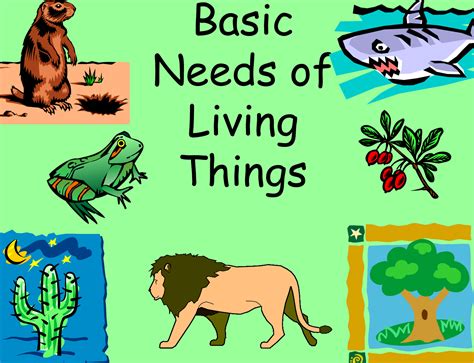 Living Things Needs Activity Gambaran