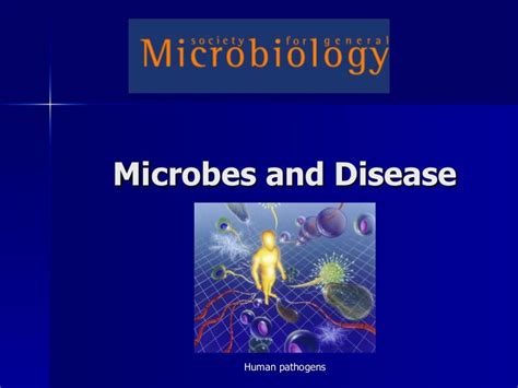 Microbes And Disease