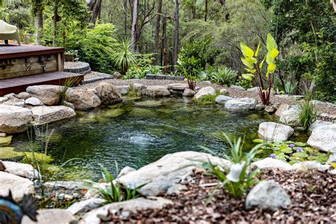 Recreation Pond Wamuran Waterscapes Australia