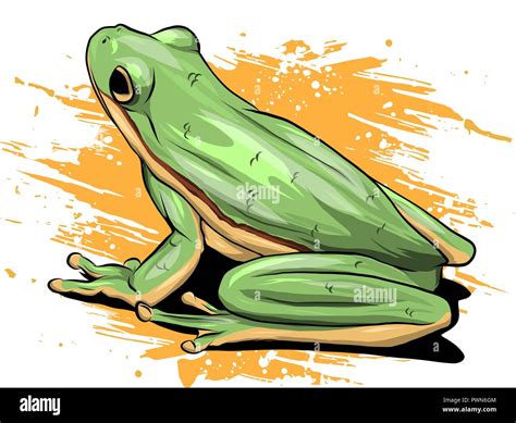 Illustration A Cartoon Green Frog Drawing Vector Stock Vector Image