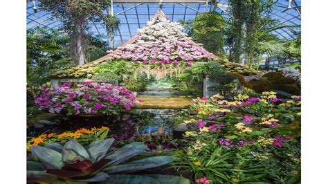 Join arvolyn hill, family programs coordinator for our everett children's adventure garden, as she shows you how to craft this geometric pattern from stones, sticks, leaves, and flowers. World of Spectacular Color, Orchid Show - Good News!