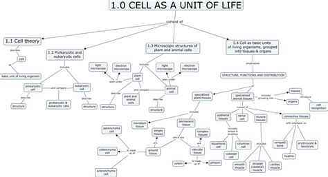 Chapter1overview Cell As Unit Of Life