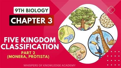 Five Kingdom Classification 9th Biology Chapter 3 Lecture 11 Part 2