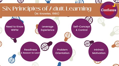 what you need to know six principles of adult learning — confianza