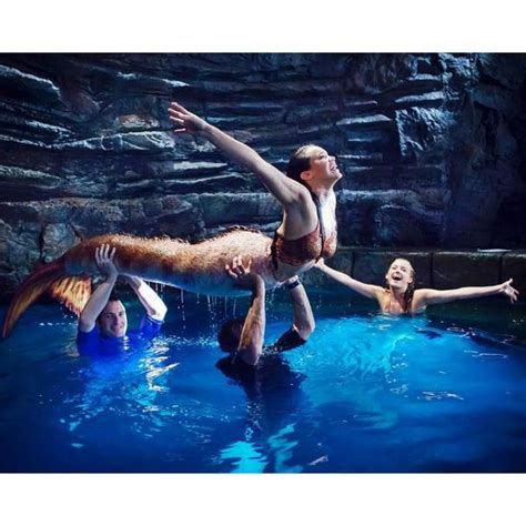 Pin On H20 Mako Mermaids