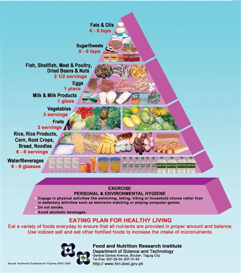 Daily Nutrition Guide Pyramid