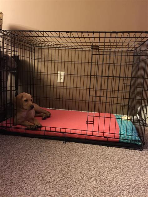 Comfortable mats, pads, or beds make the pet relate the crate with positive behavior. DIY dog crate bed. I used a full size foam mattress pad ...