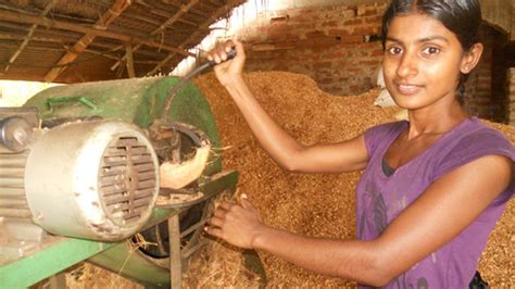 Young Woman Breaks Through In Sri Lankan Business World Bbc News