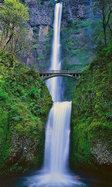 Top 10 Oregon Waterfall Hikes Mike Putnam Photography
