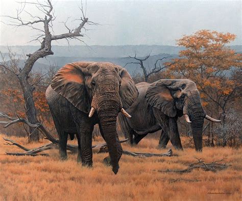 Savanna Elephants 2006 Johan Hoekstra Wildlife Art Wildlife Art