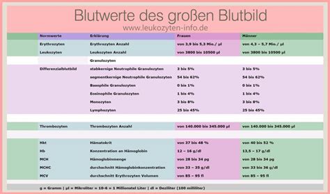We did not find results for: grosses-blutbild » Leukozyten-Info.de