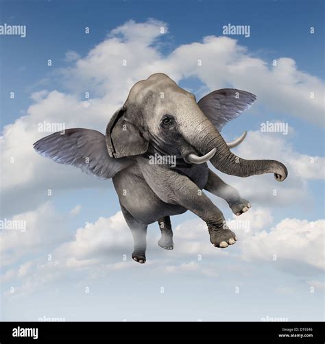 Fantasy Elephant Hi Res Stock Photography And Images Alamy