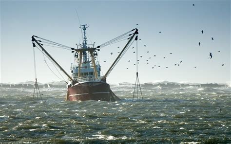 Download Wallpapers Storm Sea Seagulls Fishing Boat For