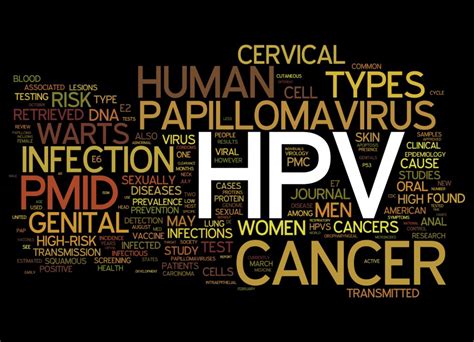 Human Papillomavirus Hpv Infection Transmission Can Increase Skin