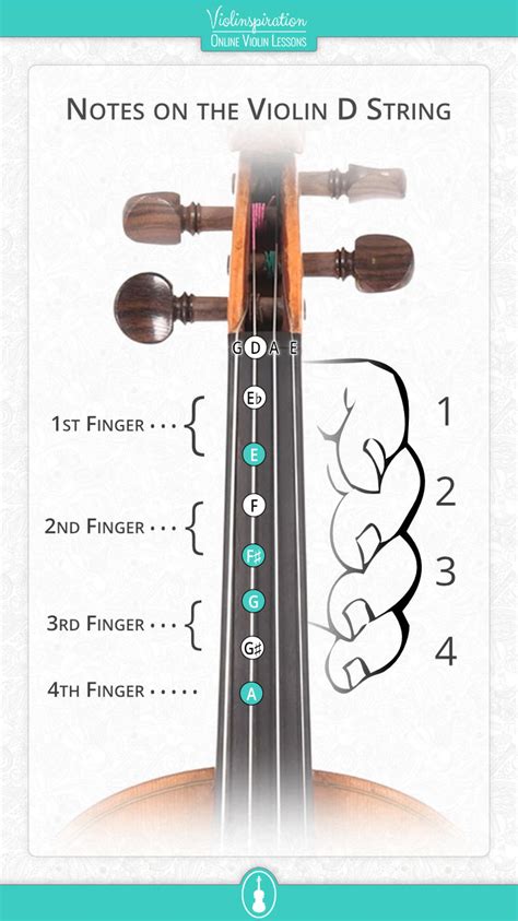 All Violin Notes On The D String With Easy Pdf Charts Violinspiration