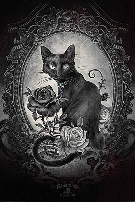 Alchemy Paracelsus Black Cat Gothic Goth Room Decor Skull Horror Witchy