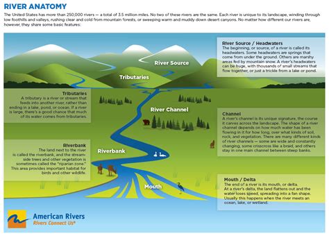 Parts Of A River River Science Lessons Earth Science Middle School