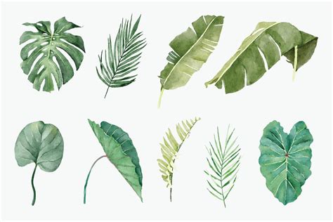 Set Of Tropical Plants In Watercolor Style 7421999 Vector Art At Vecteezy