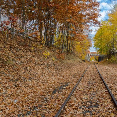 Get Your Fall Foliage Fix On These Beautiful Train Rides Across The Us